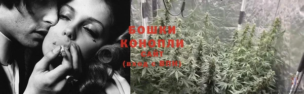 стафф Богородицк