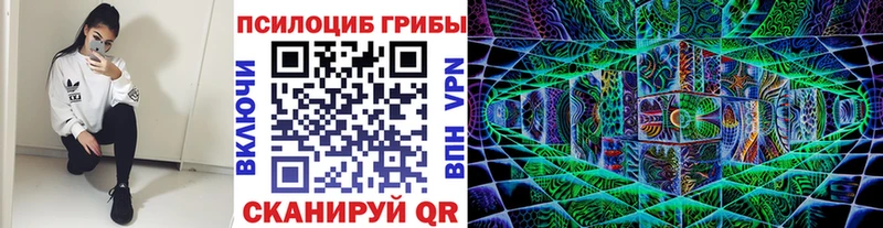 Псилоцибиновые грибы Psilocybine cubensis Белокуриха